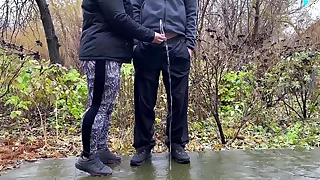 Mother-in-law libretto